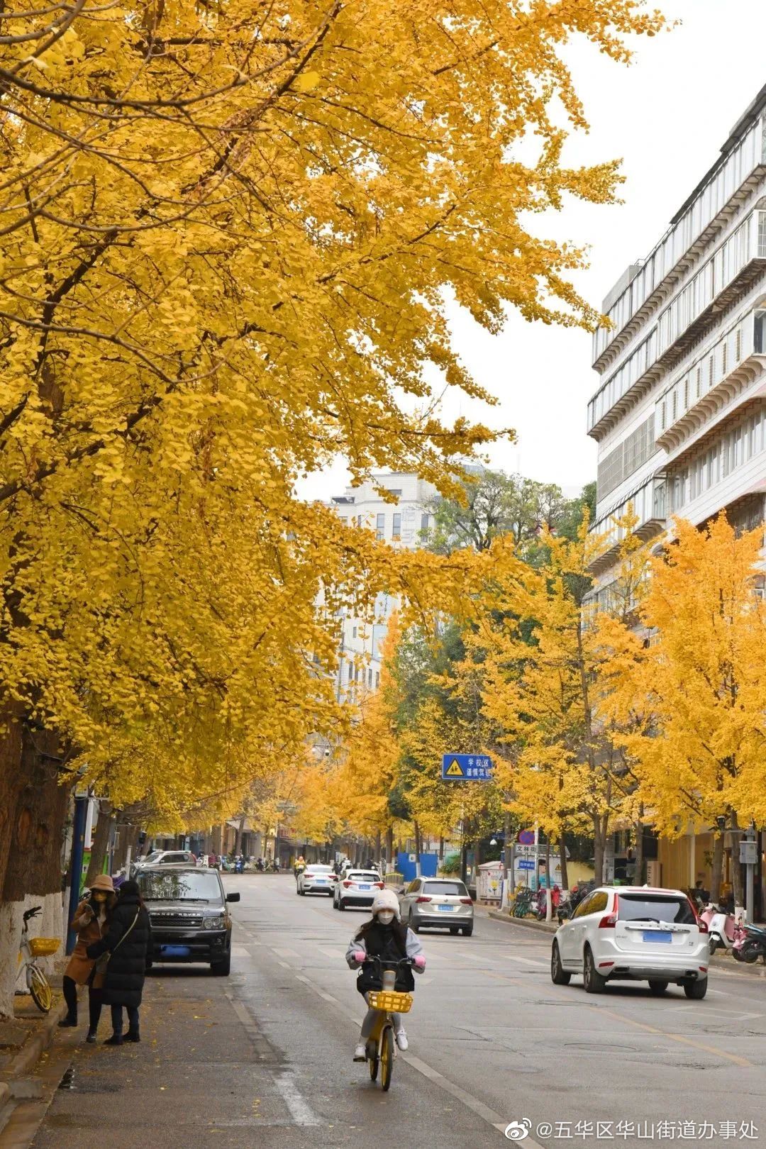 五华区华山街道办事处