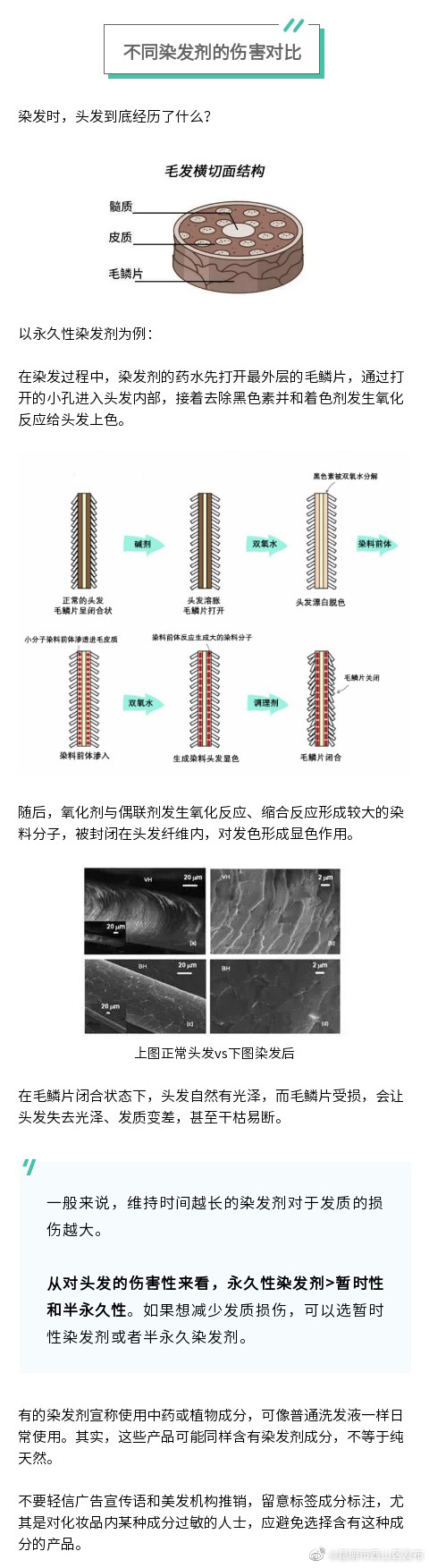 昆明市西山区发布