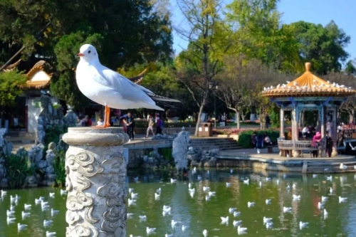 昆明市文化和旅游局