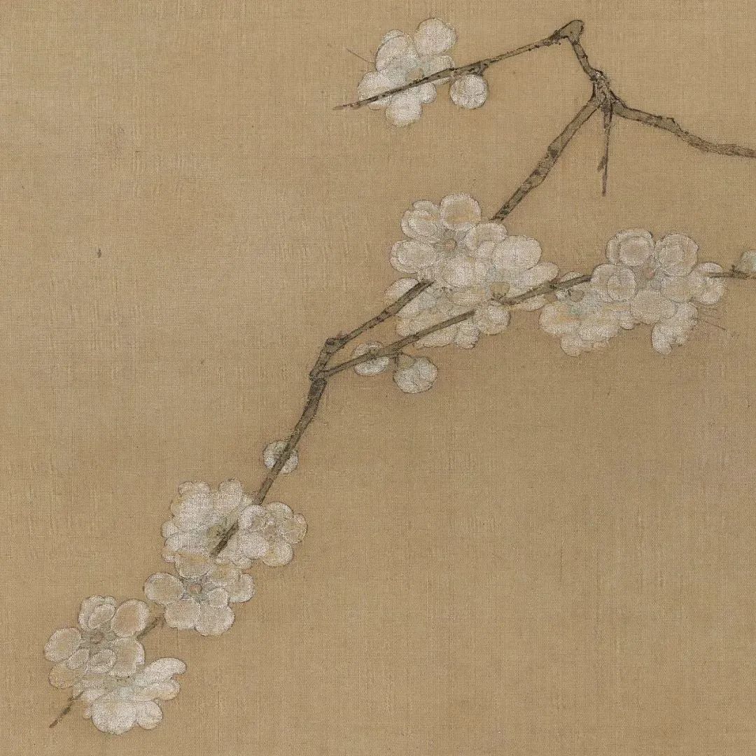 昆明公共文化云