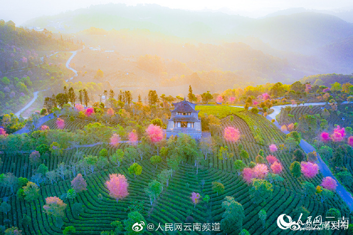 “云南发布”微博