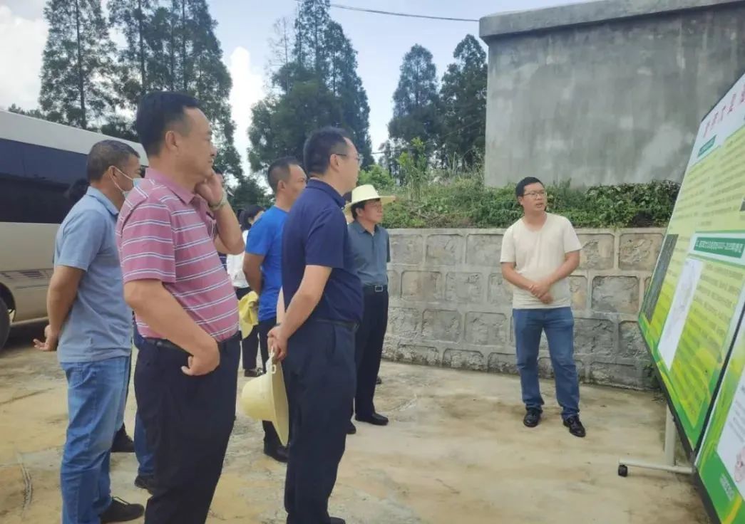 悦读嵩明