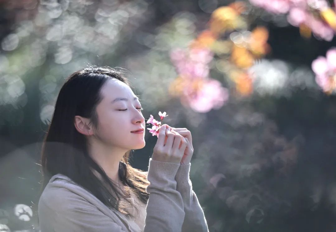 普洱日报