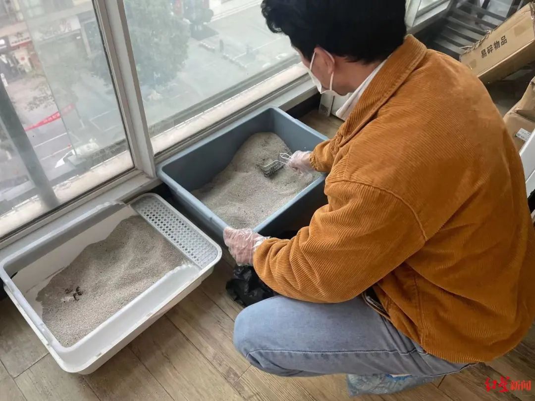 春城晚报