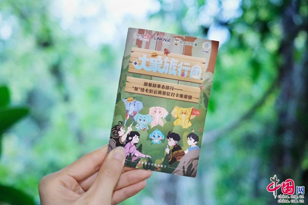 新华网云南频道