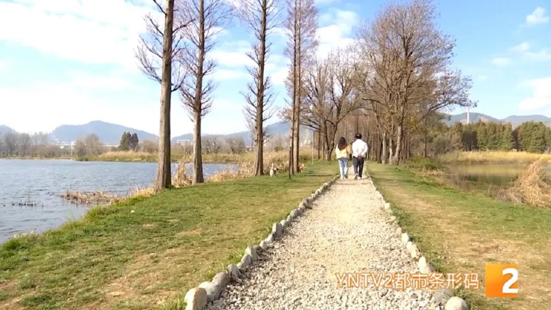掌上春城