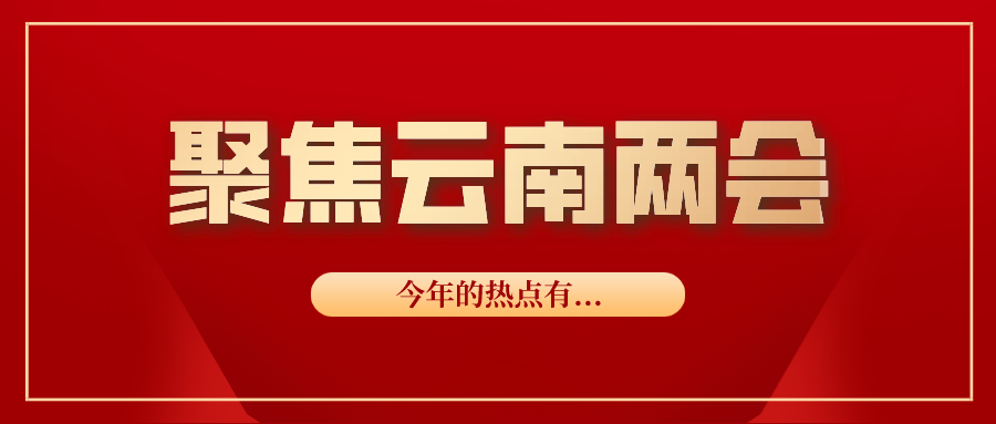 云南法制报