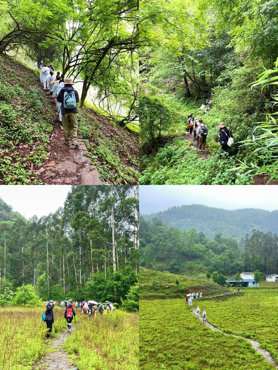 一部手机游云南