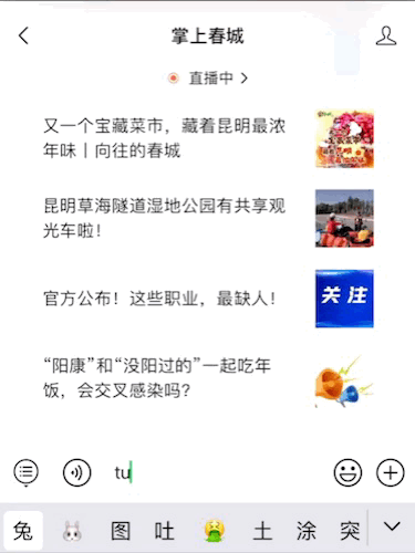 掌上春城