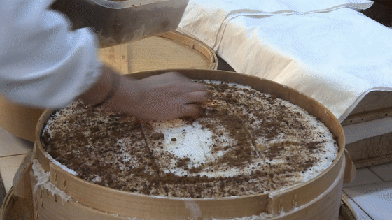 大理电视台