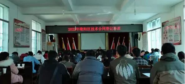 保山先锋