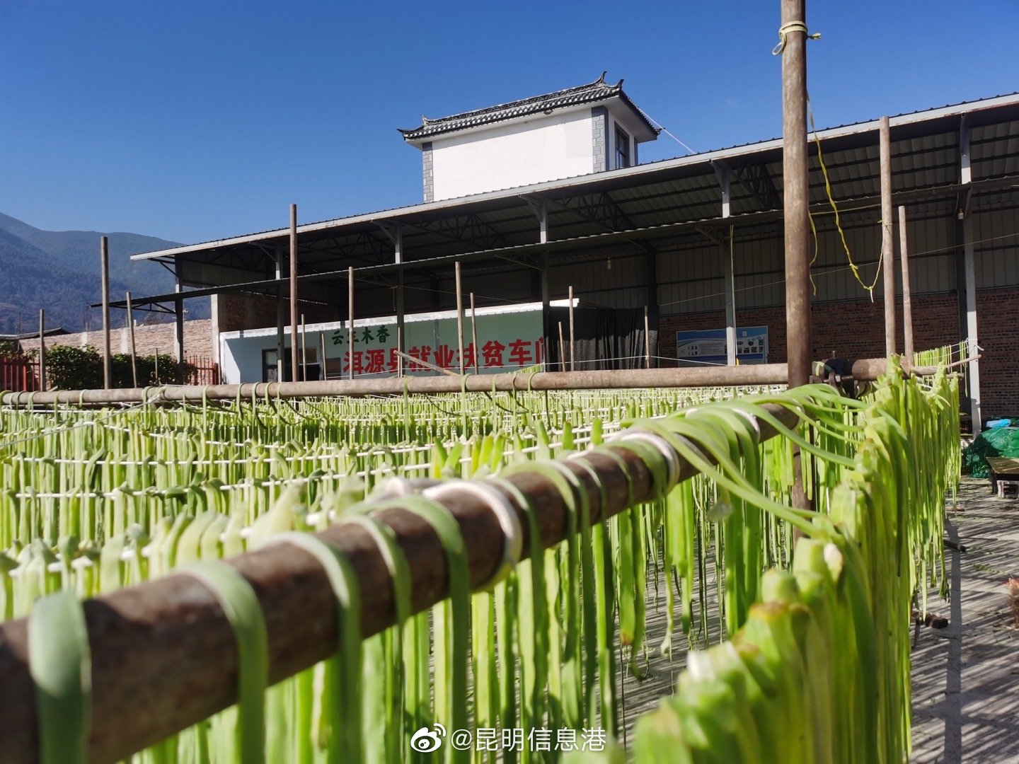 昆明信息港（微博）