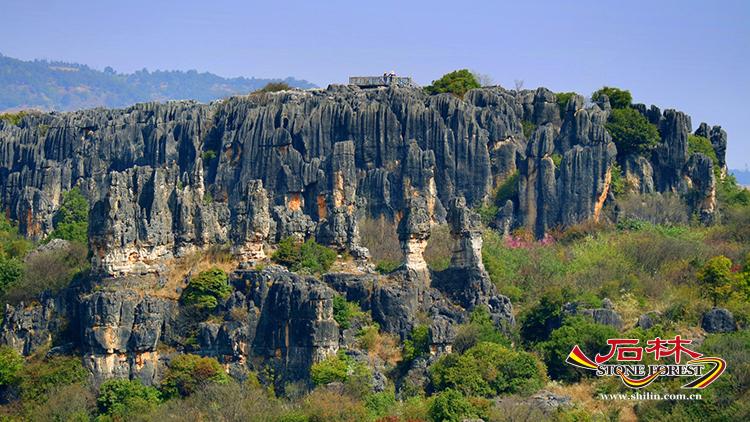 石林旅游网