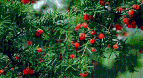 昆明市文化和旅游局