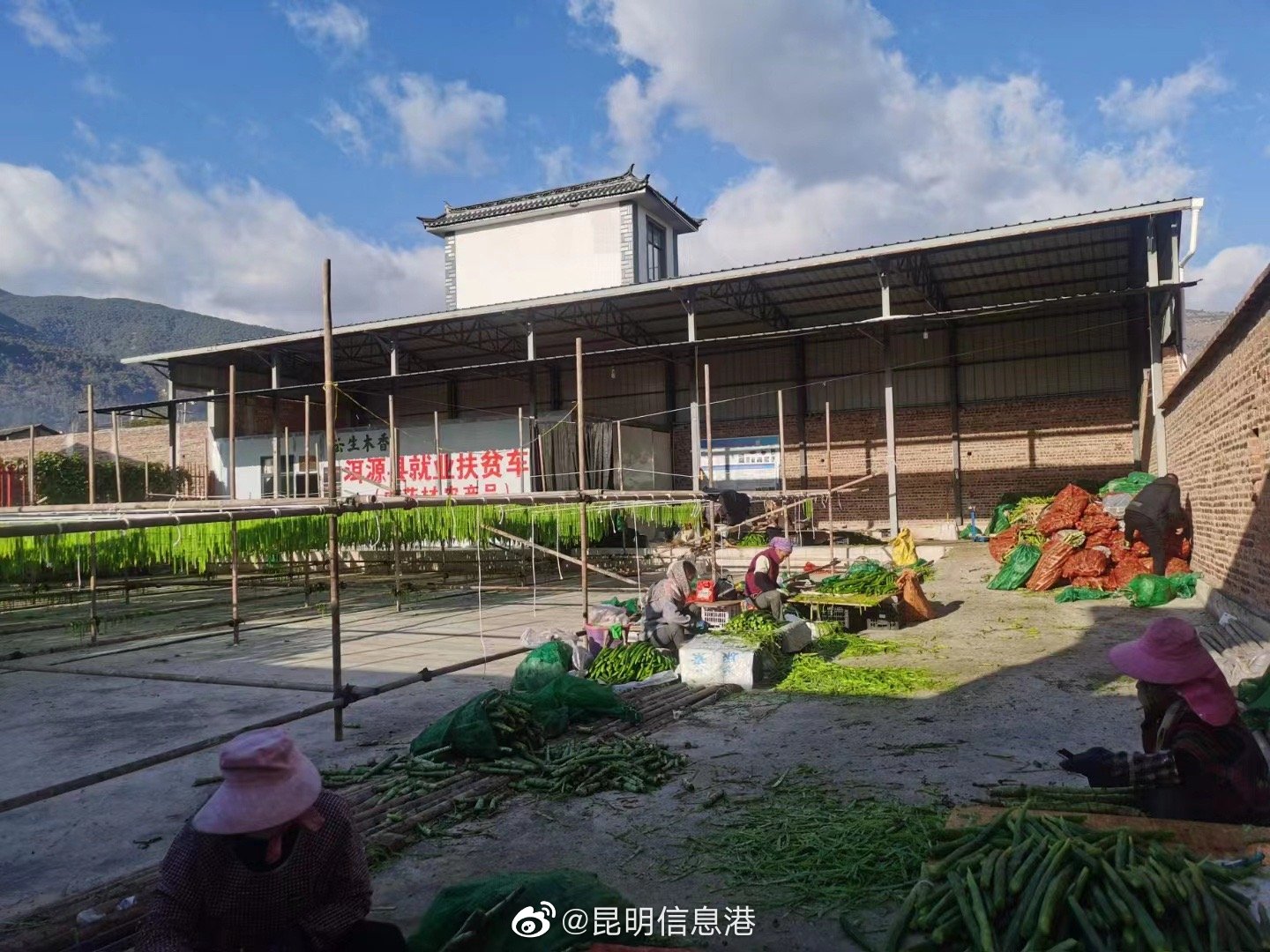 昆明信息港（微博）