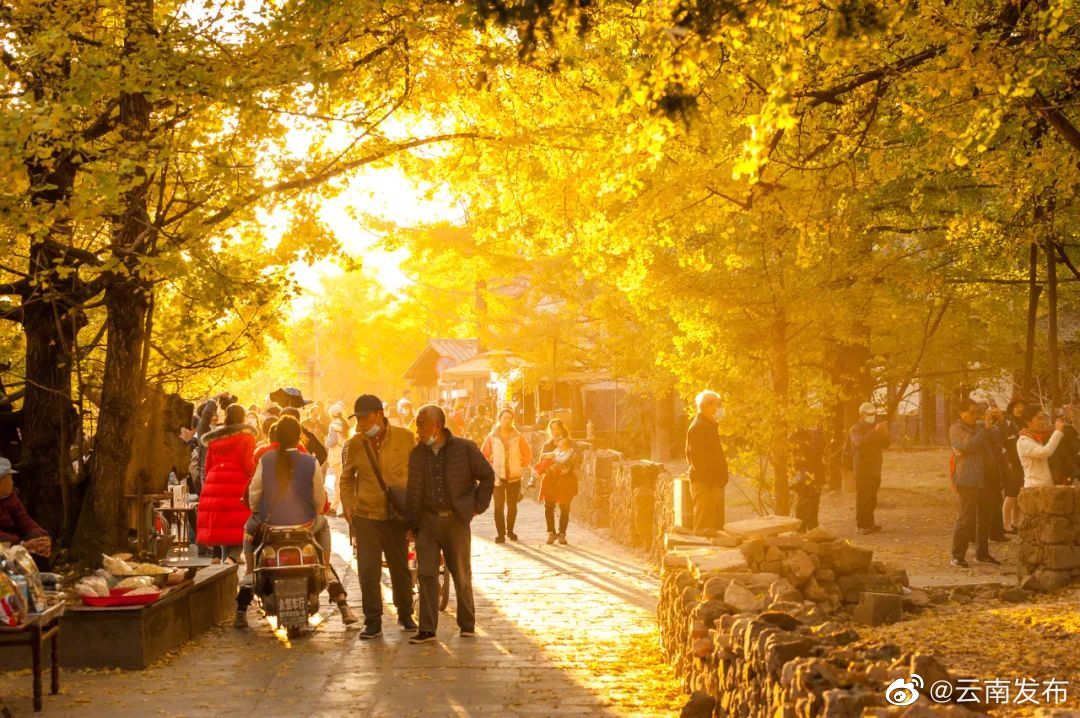 “云南发布”微博