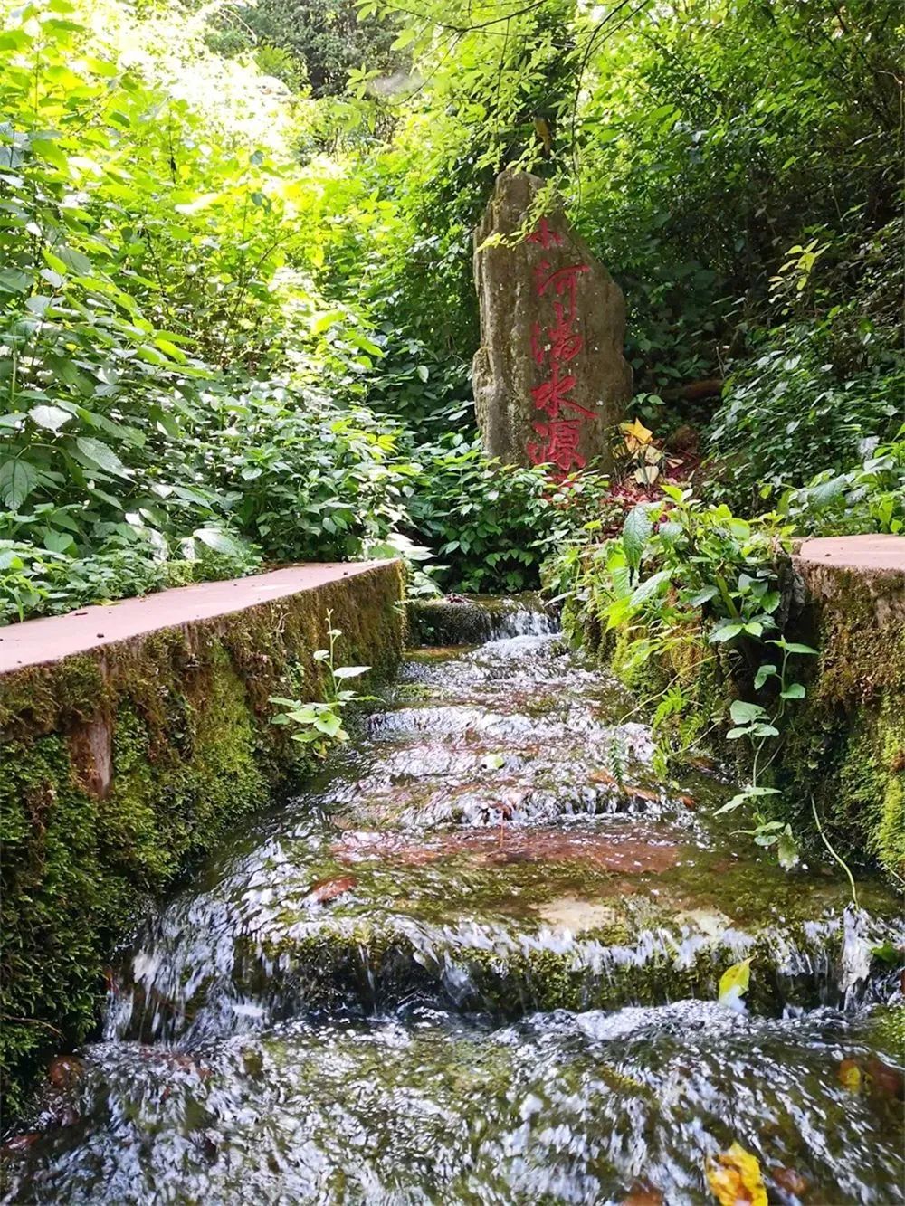 大理电视台