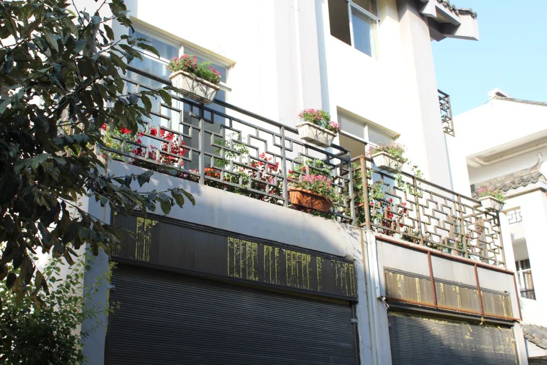 昆明阳宗海风景名胜区