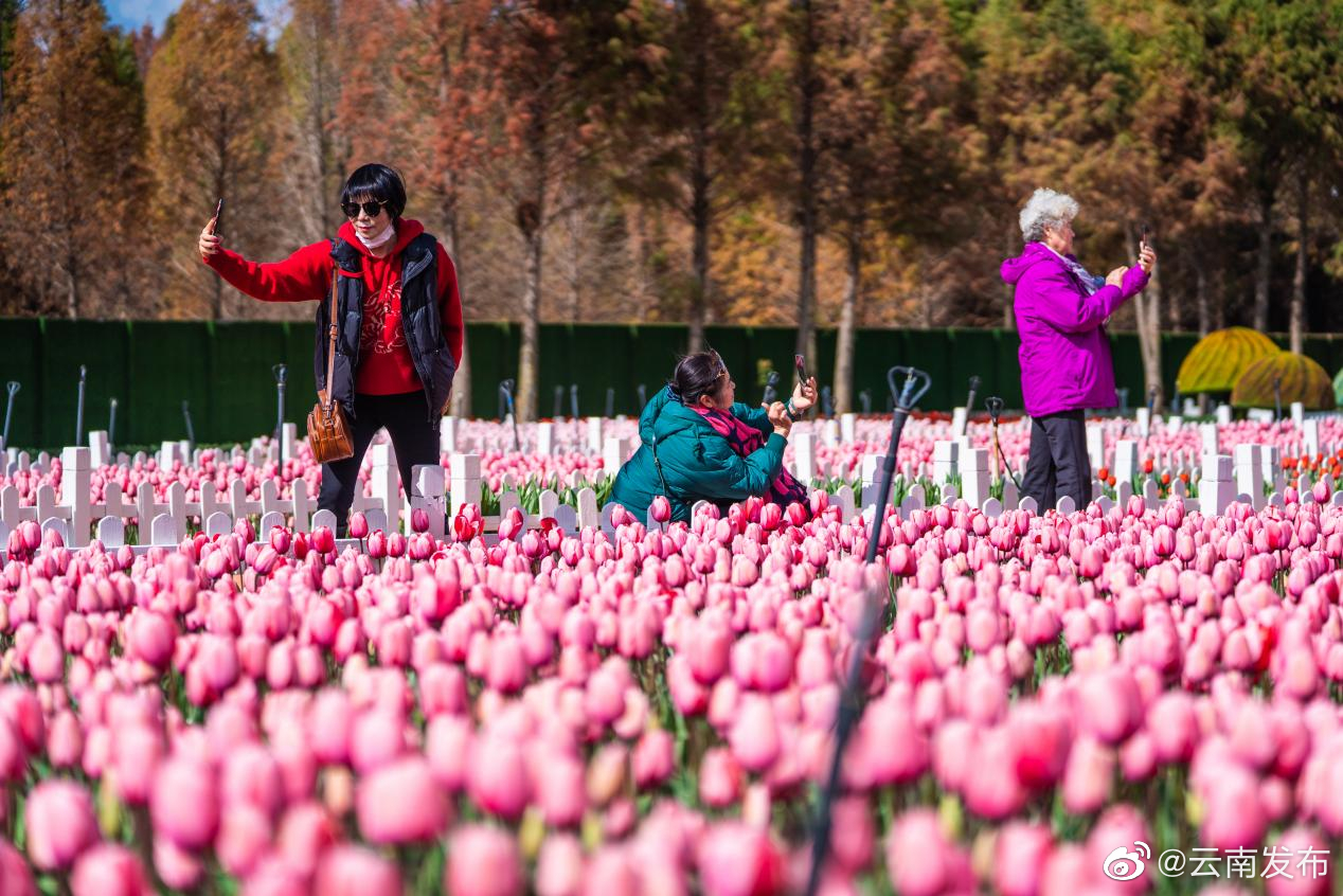 昆明公园数量位列全国第三！打造彰显云南特色春城特点的公园城市