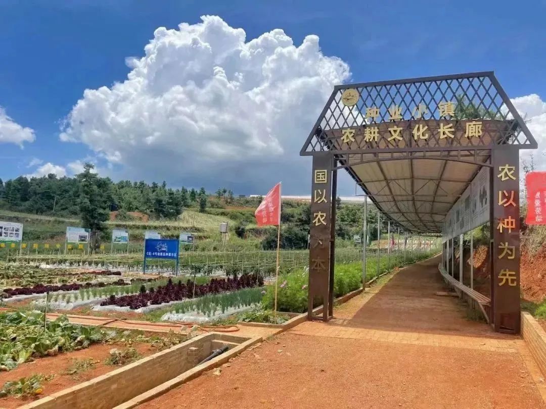 昆明阳宗海风景名胜区