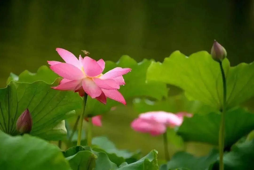 昆明生态环境