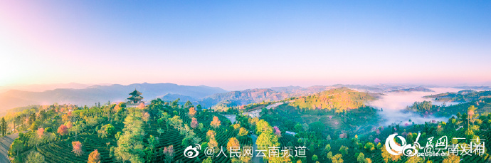 “云南发布”微博