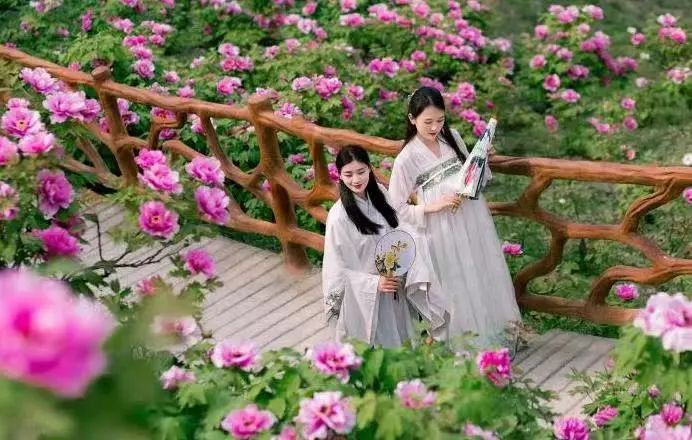 悦读嵩明