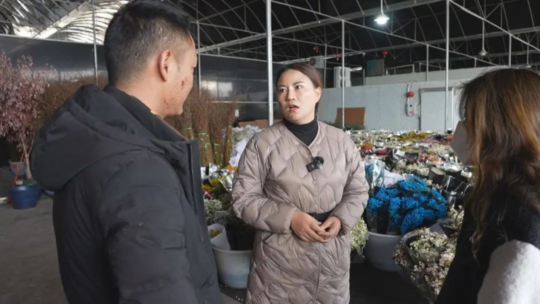 呈贡发布
