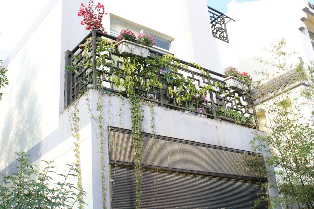 昆明阳宗海风景名胜区