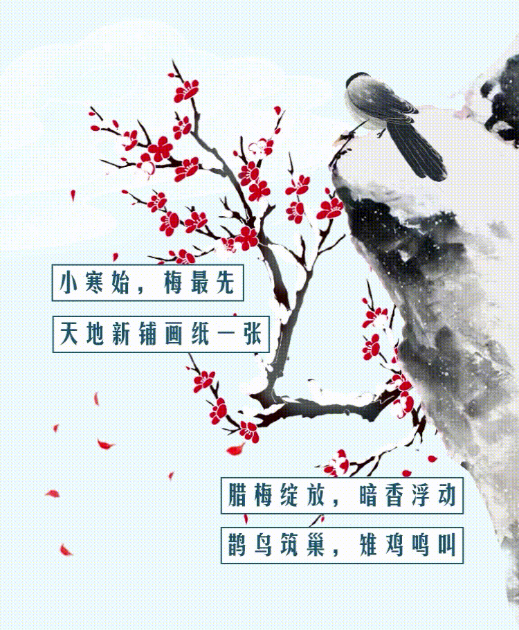 云南省人民政府网