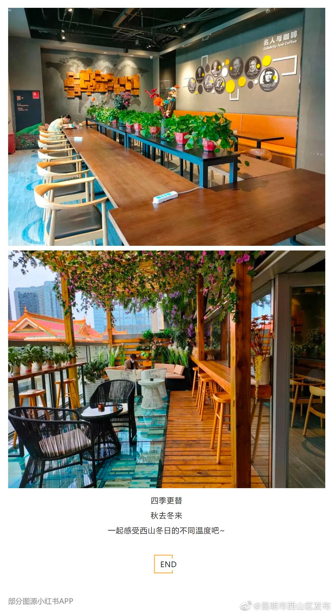 昆明市西山区发布