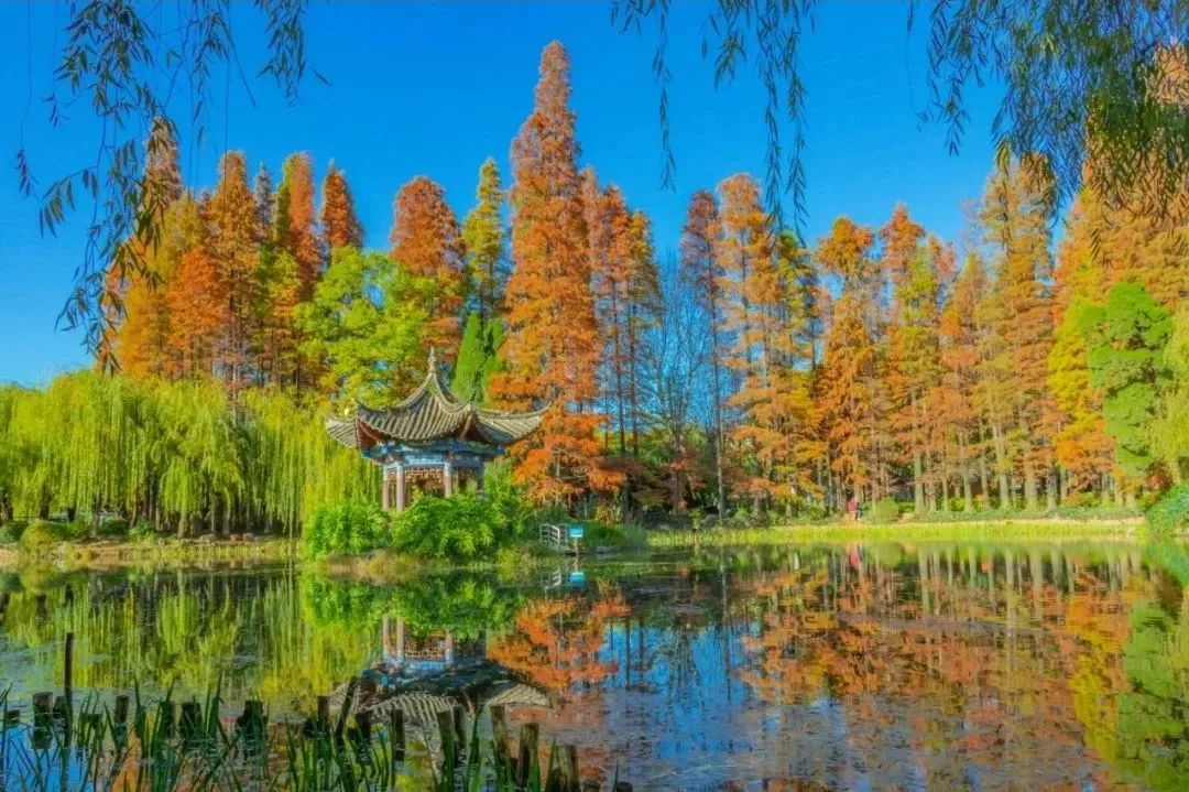 昆明文旅