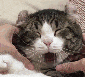 打哈欠有助缓解大脑疲劳