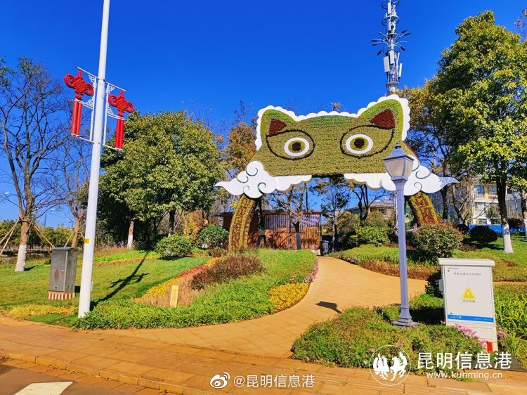 昆明信息港（微博）