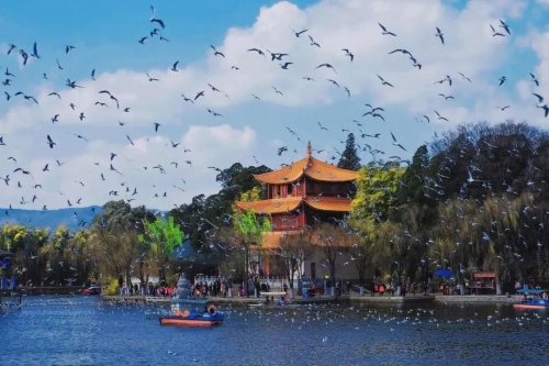 昆明市文化和旅游局