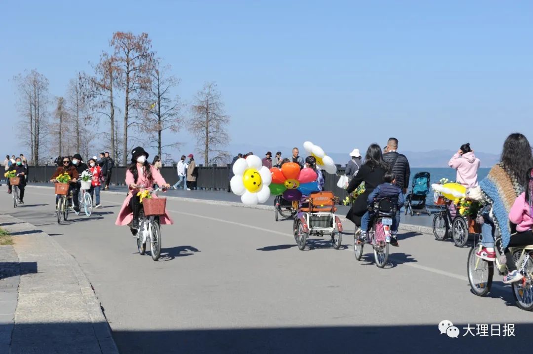 大理日报