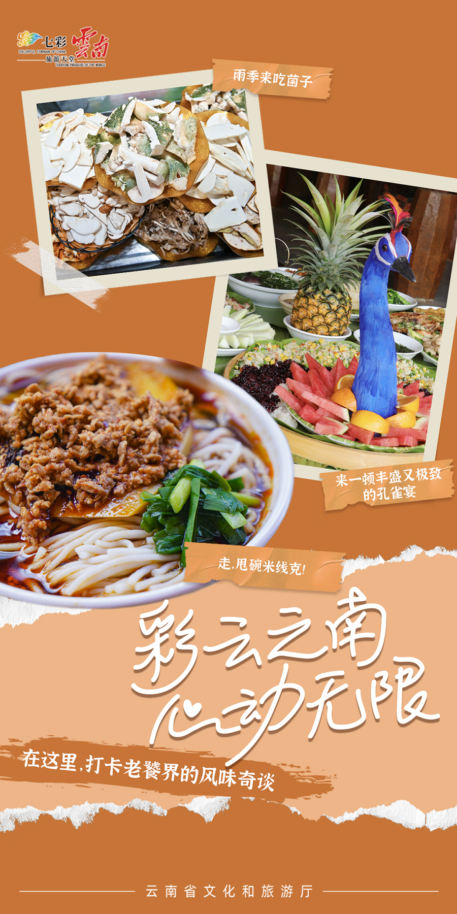 新华网云南频道