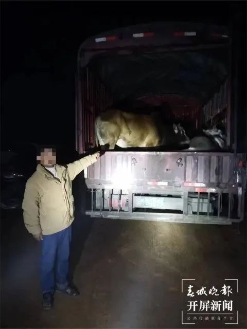 保山新闻网