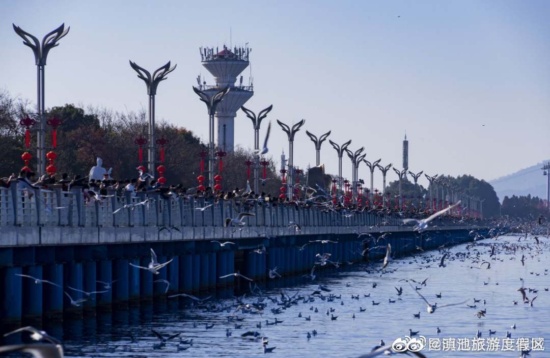 滇池旅游度假区