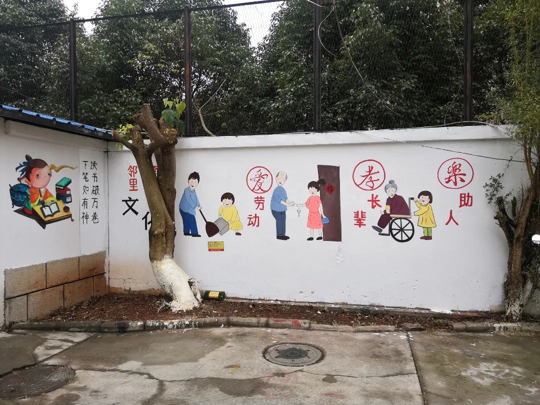 微观盘龙