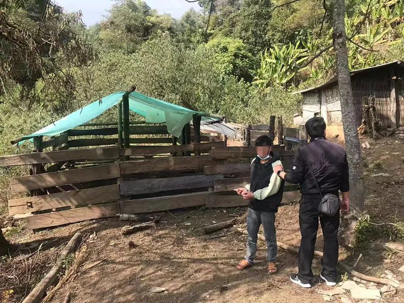 保山新闻网