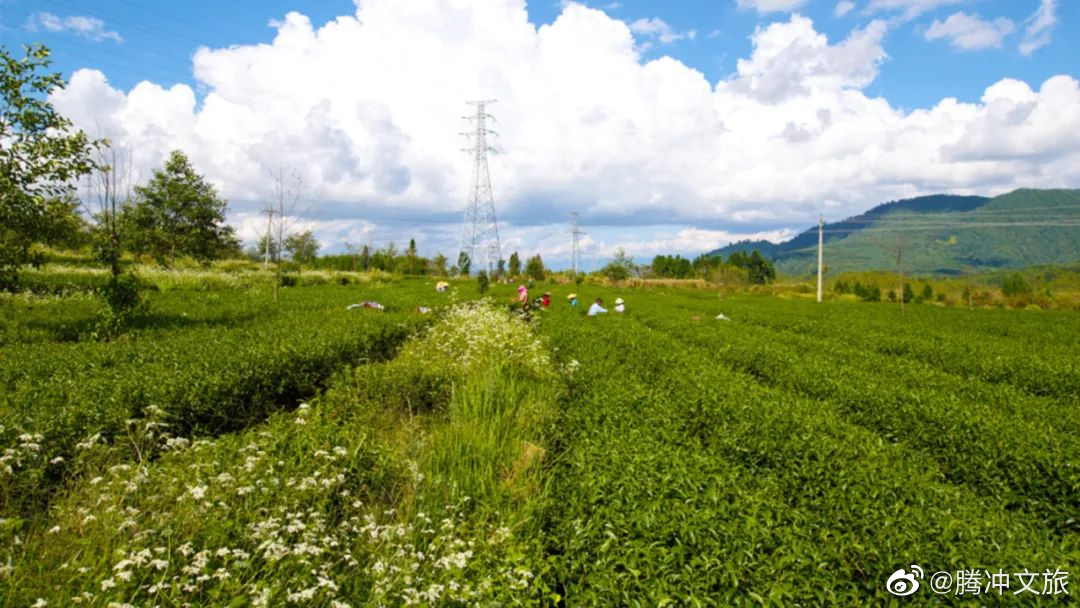 腾冲文旅微博