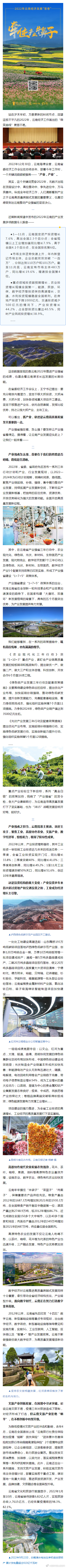 昆明市西山区发布