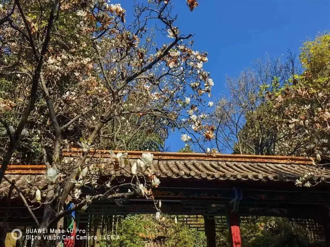 昆明市昙华寺公园