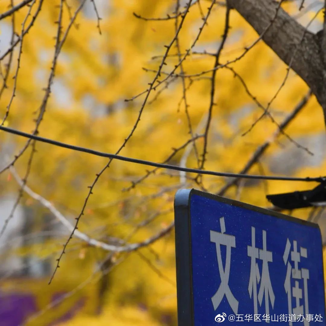 五华区华山街道办事处