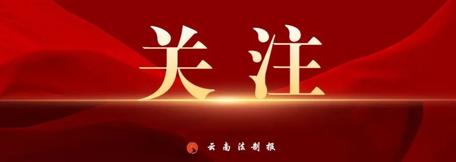 云南法制报