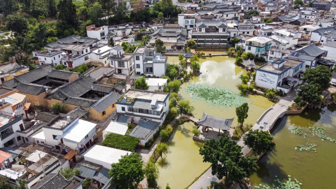 云南省人民政府网