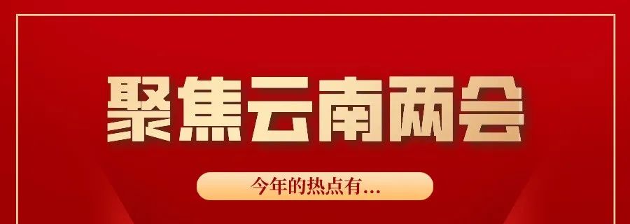 云南法制报