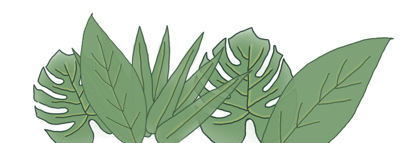 保山新闻网