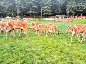 昆明五华发布